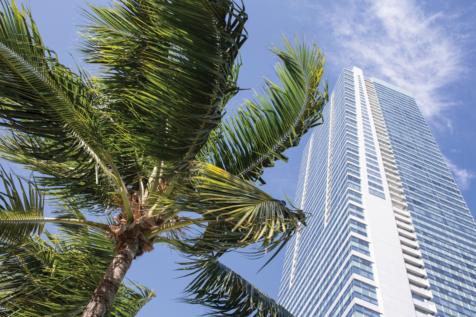 ТОП-3 района Майами, где можно выгодно инвестировать в недвижимость